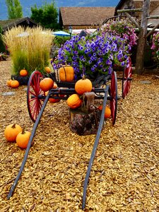 Pumpkins decoration artistic
