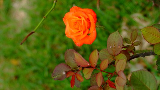 Shape nature korea