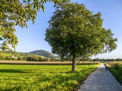 Mountain road field bicycle path