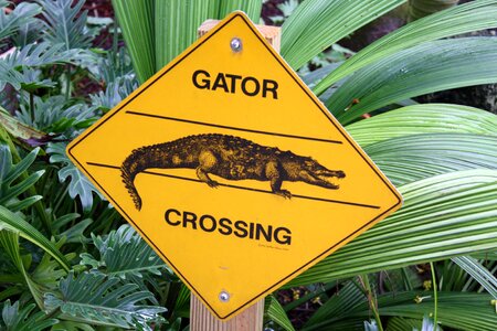 Florida aligator farm shield