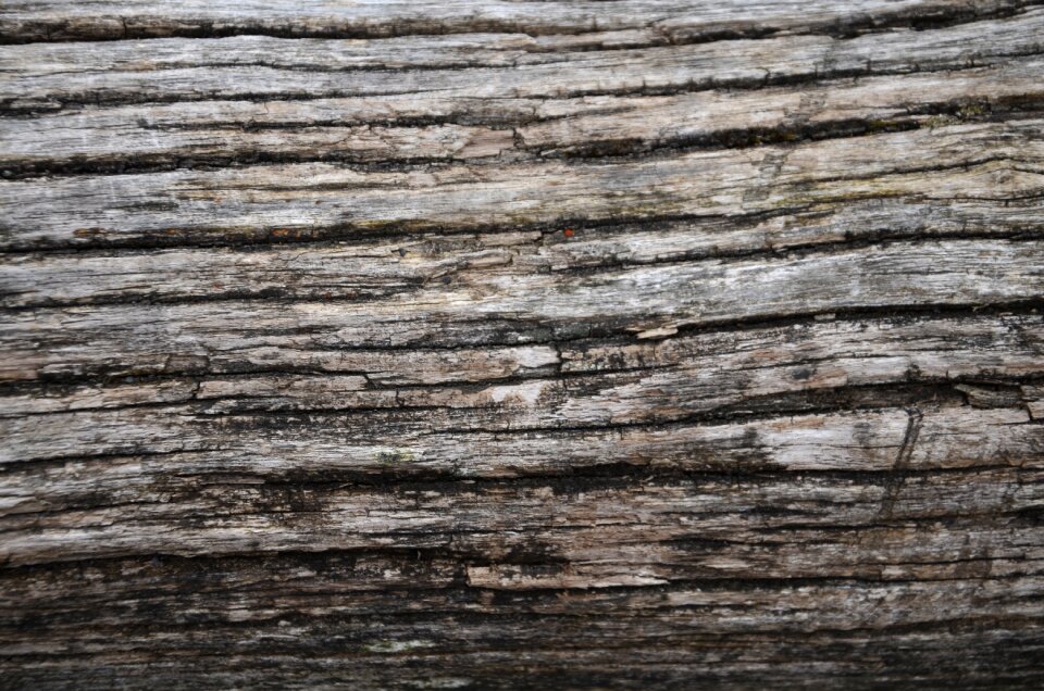 Aesthetics background effect background