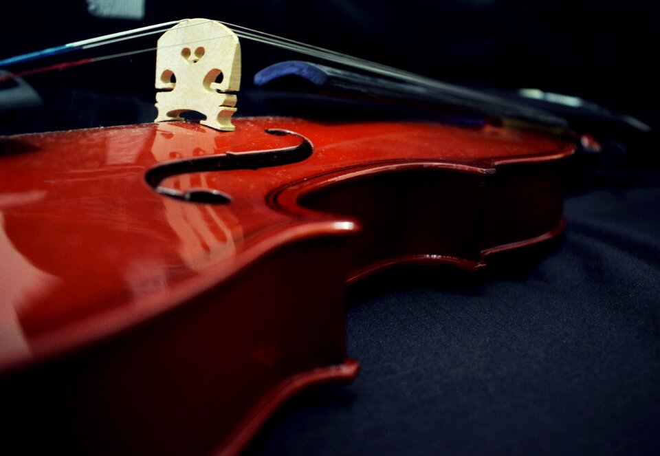 Design musician concert