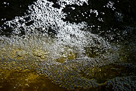 Bubbles sparkling