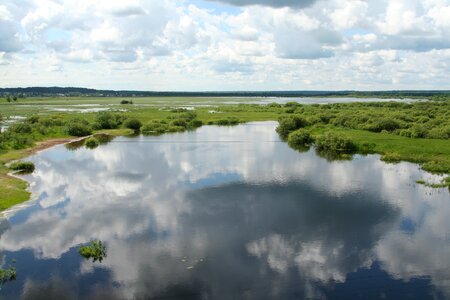 Nature reflection surface