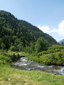 Trees mountain andorra