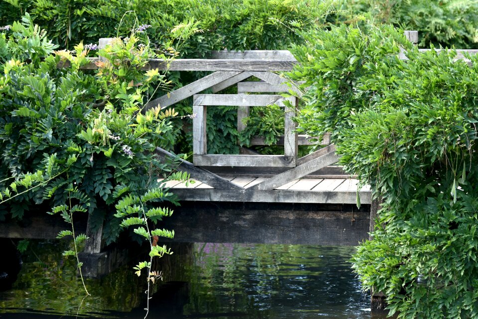 Still tranquil reflection