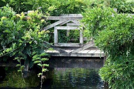 Still tranquil reflection photo