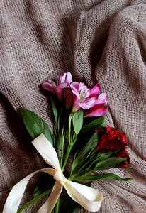 Style beautiful background