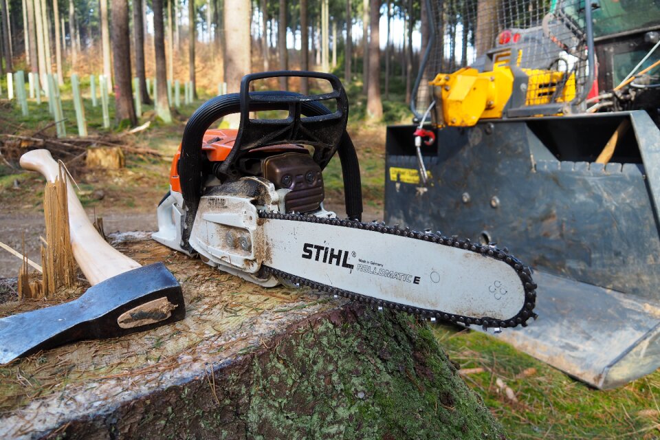 Chainsaw forest work woodworks
