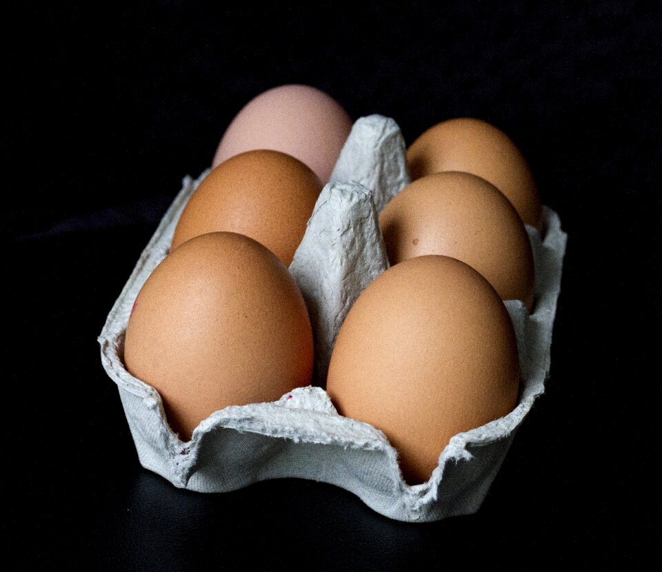 Food yolk protein