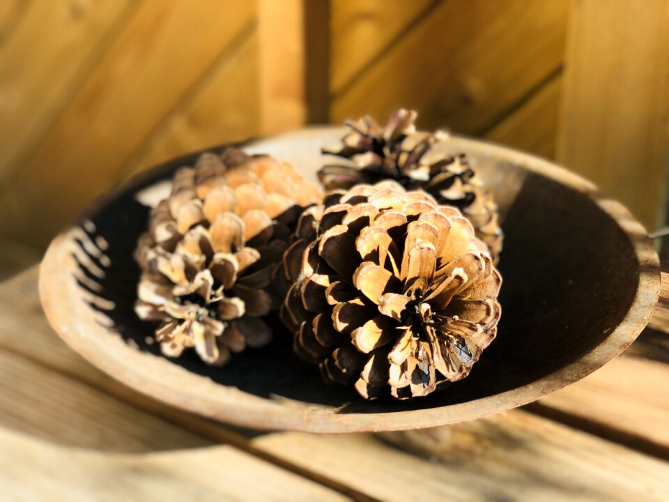 Decorative autumn decoration shell