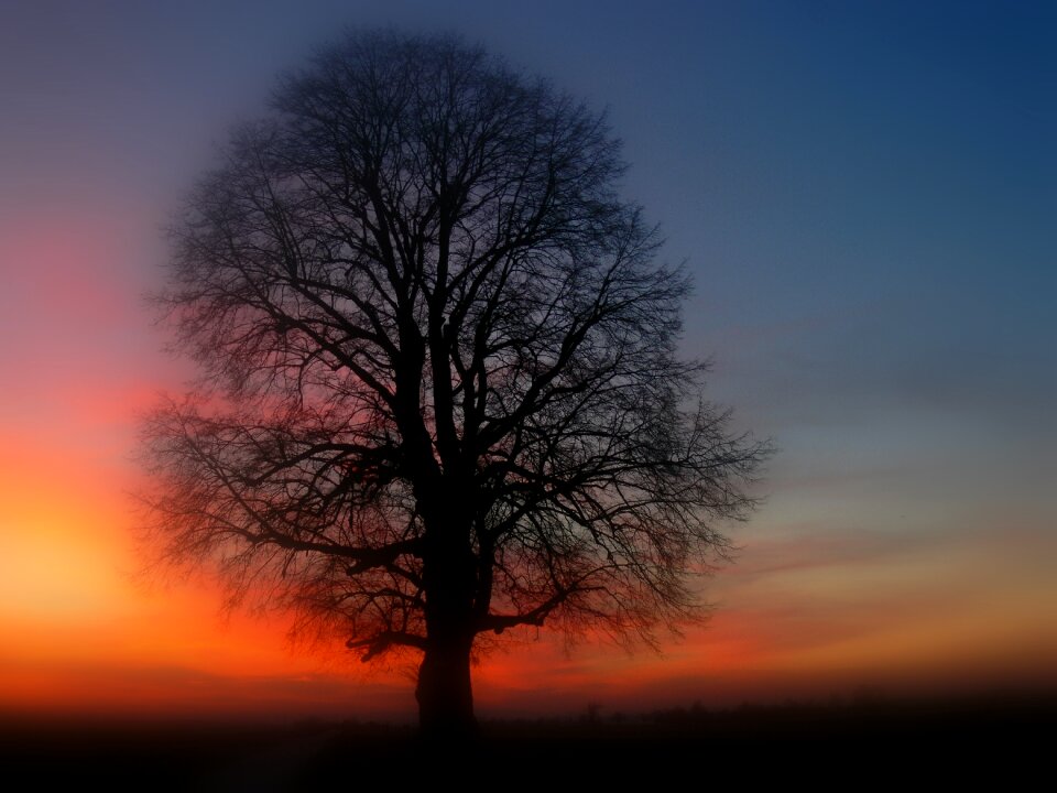 Dusk abendstimmung evening sky