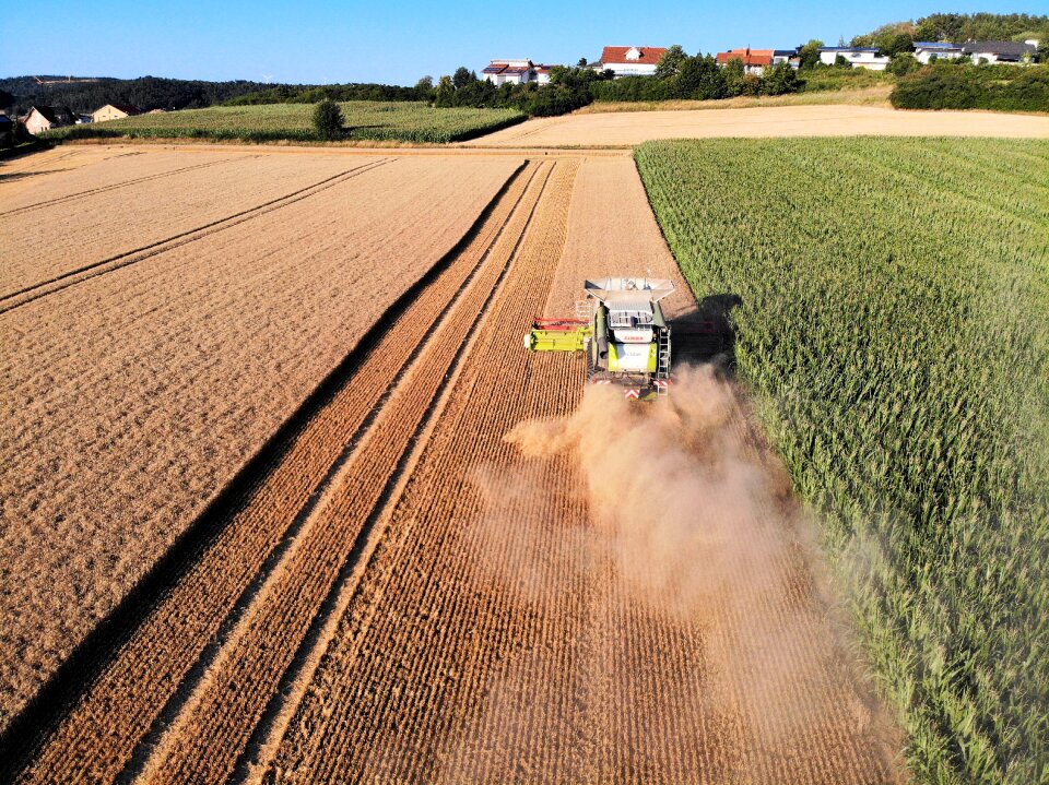 Barley agriculture bauer