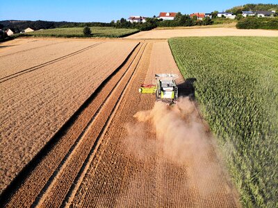 Barley agriculture bauer photo