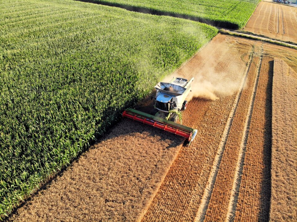 Barley agriculture bauer