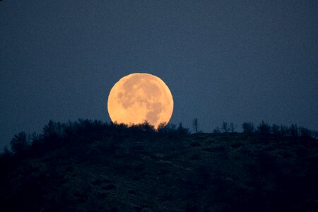 Mystic lunar fantasy photo