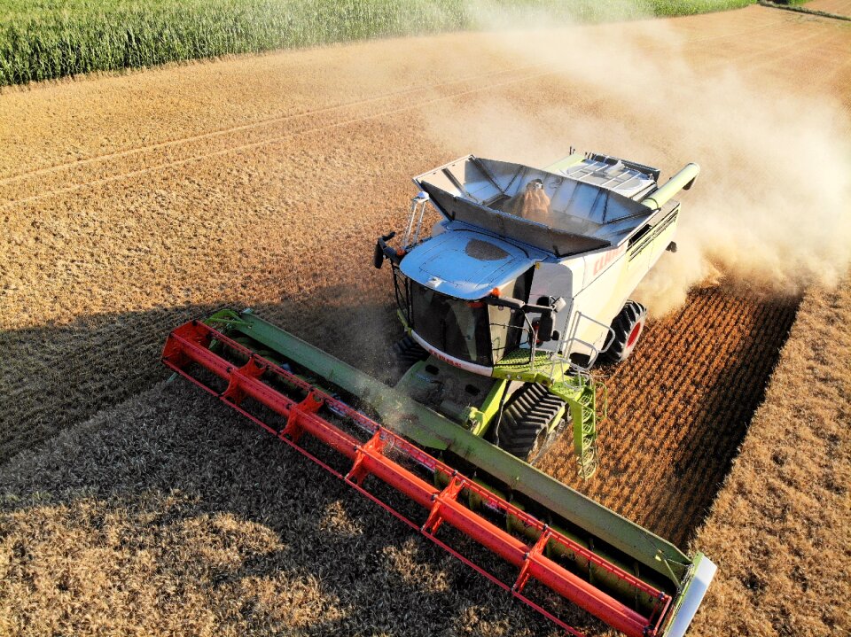 Barley agriculture bauer