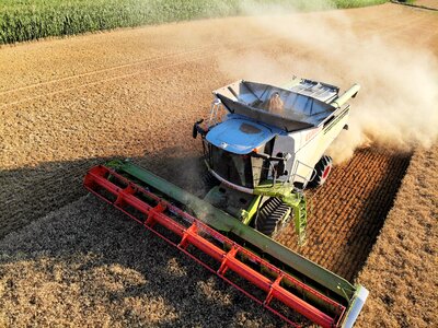 Barley agriculture bauer