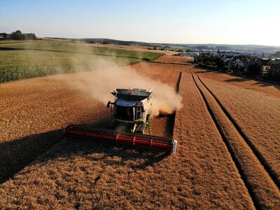 Barley agriculture bauer