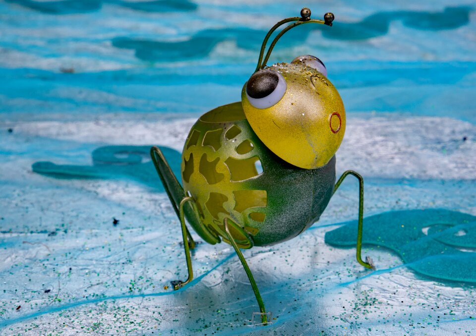 Blue bug glance