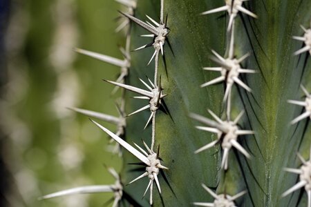 Spikes spiked sharp