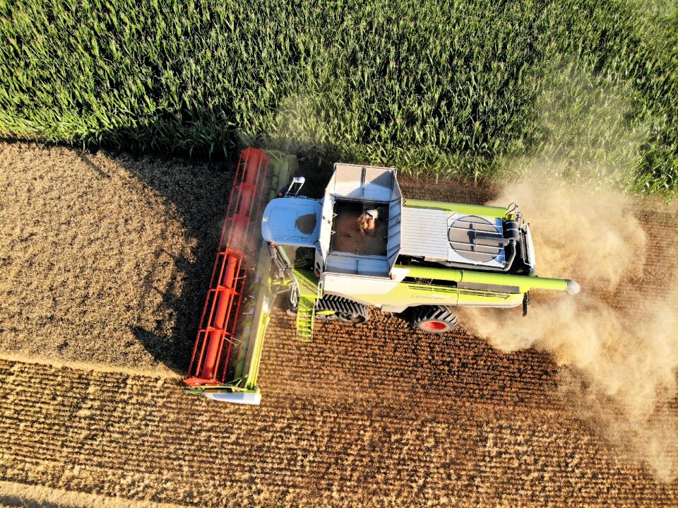 Barley agriculture bauer
