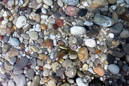 Beach colorful water