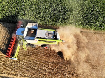 Barley agriculture bauer