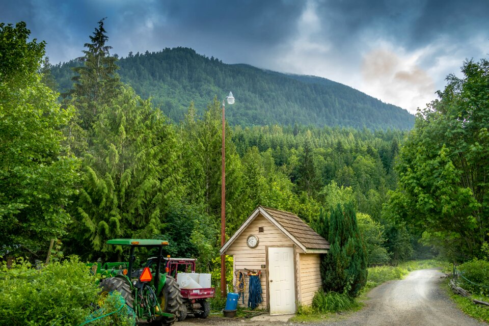 Tree landscape agriculture photo