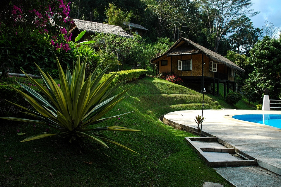 Woodhouse agave garden