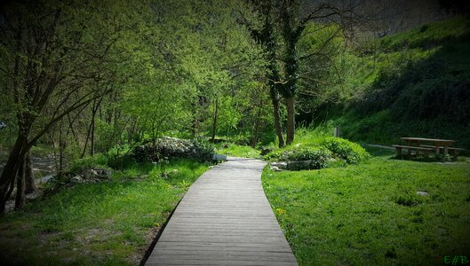 Green path environment