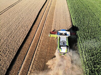 Barley agriculture bauer