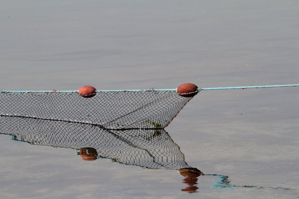 Net fishing sea