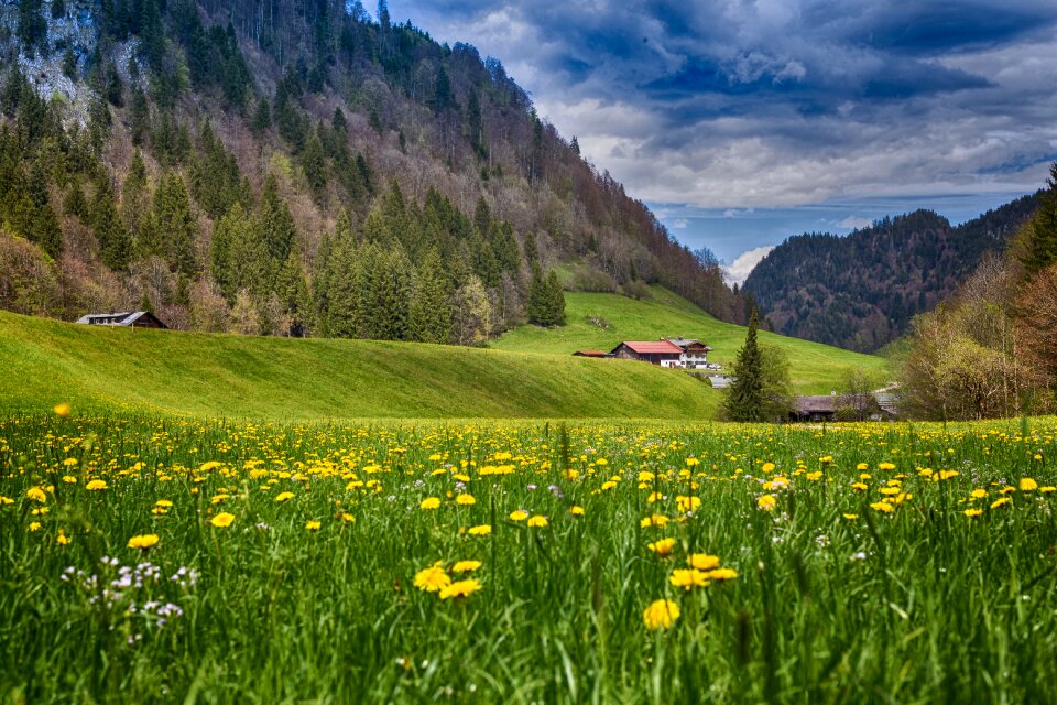 Allgäu mountains summer