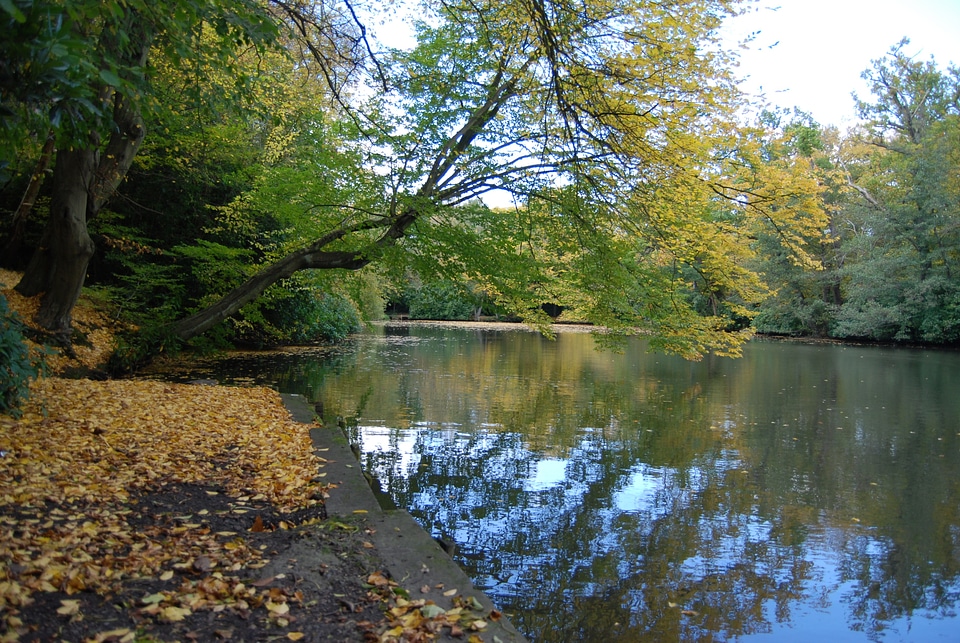 Lake water reflection