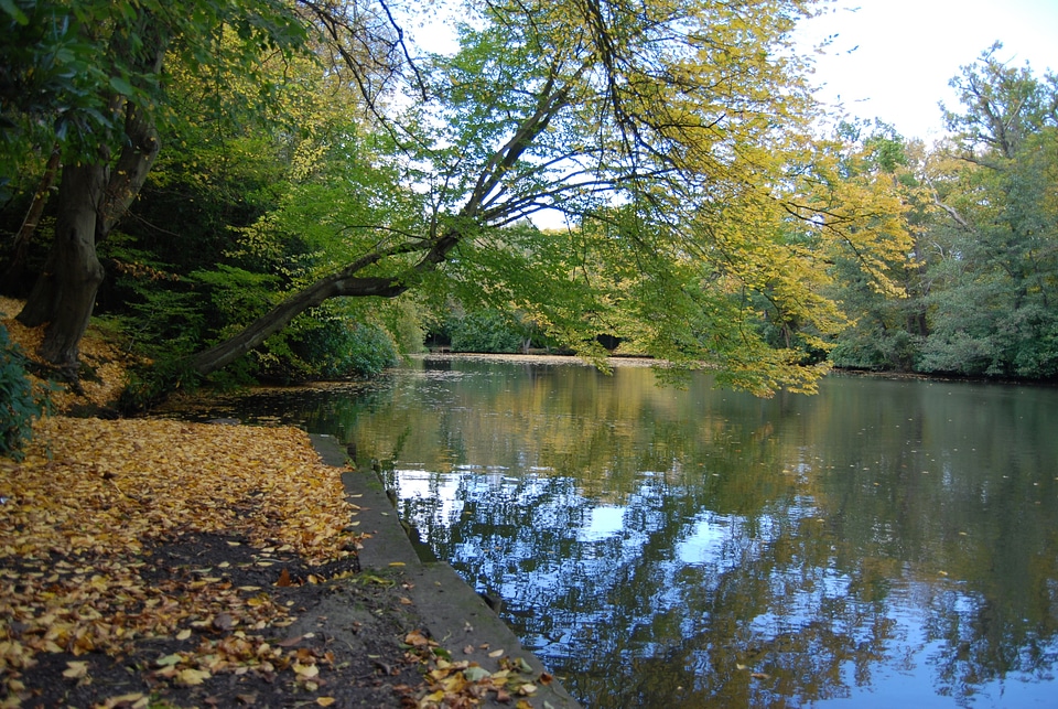 Lake water reflection photo