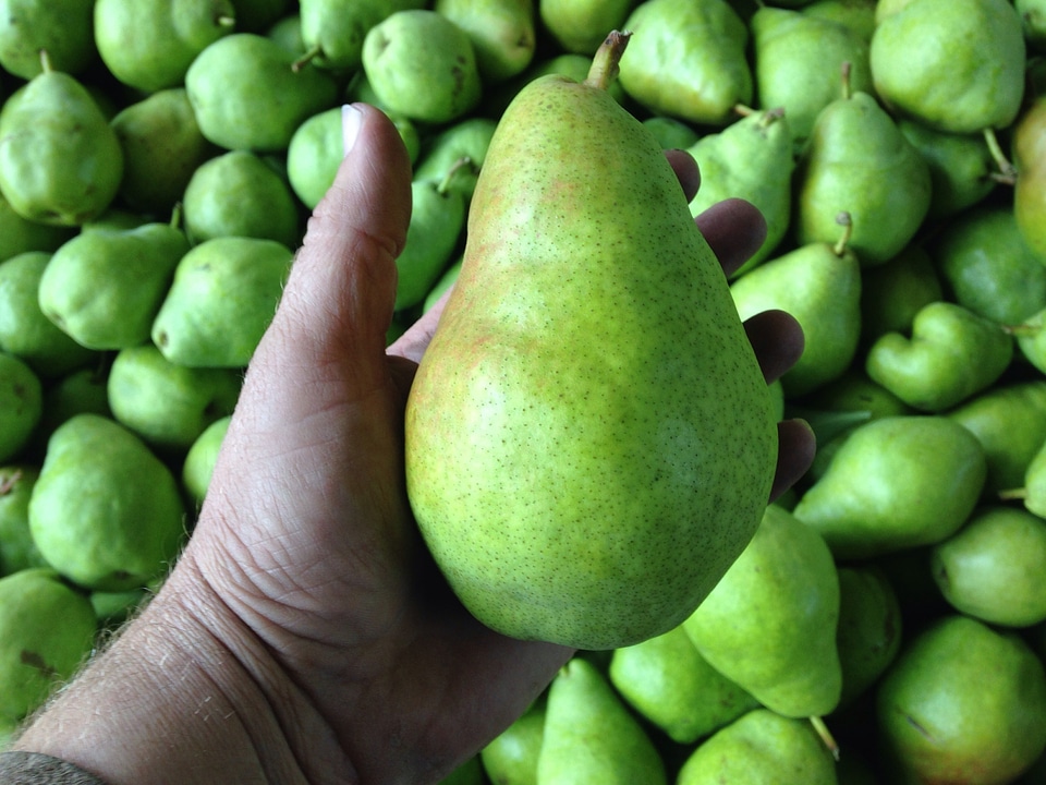 Healthy diet natural
