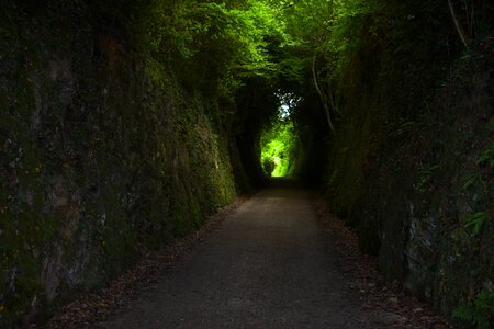 Road mystical tunnel photo