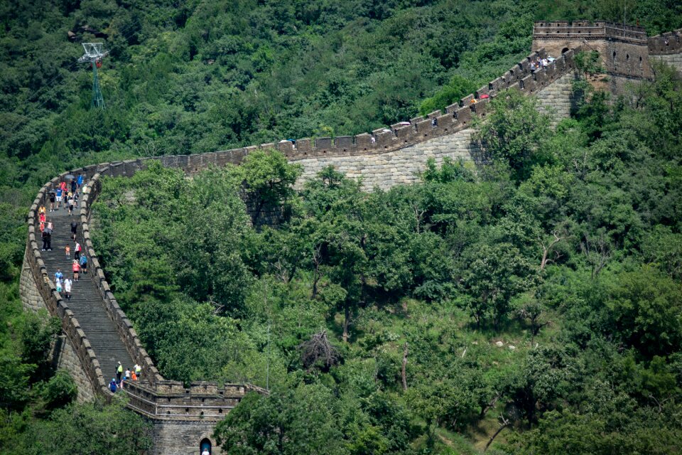 Landscape green wall