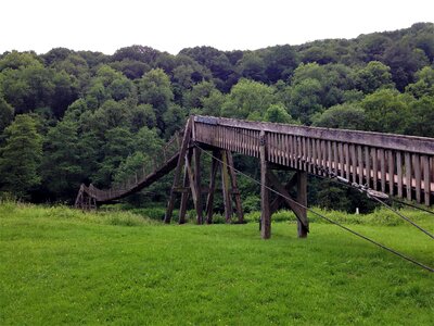 Walk wood forest