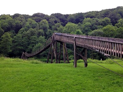 Walk wood forest photo