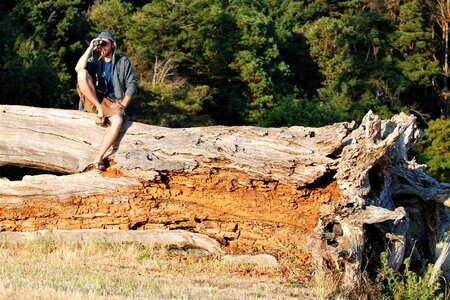 Break up dead wood view photo