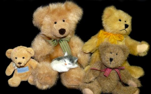 Fluffy cute play
