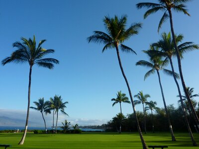 Maui hawaii photo
