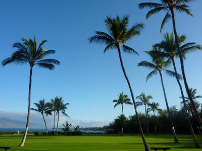 Maui hawaii