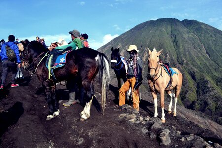 Ride nature brown