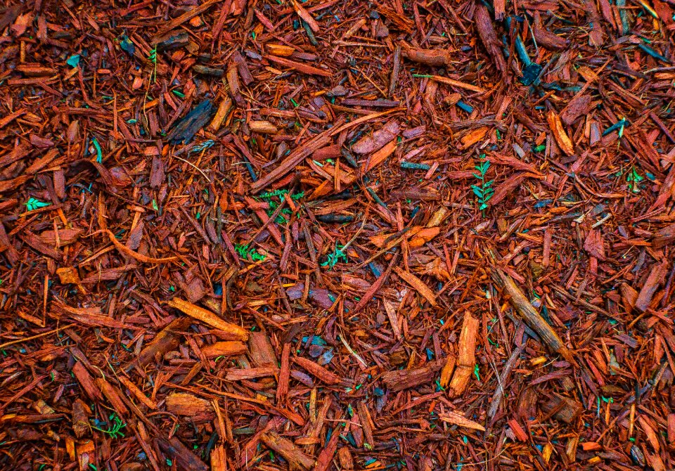 Design form texture
