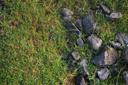 Stones soil rocks