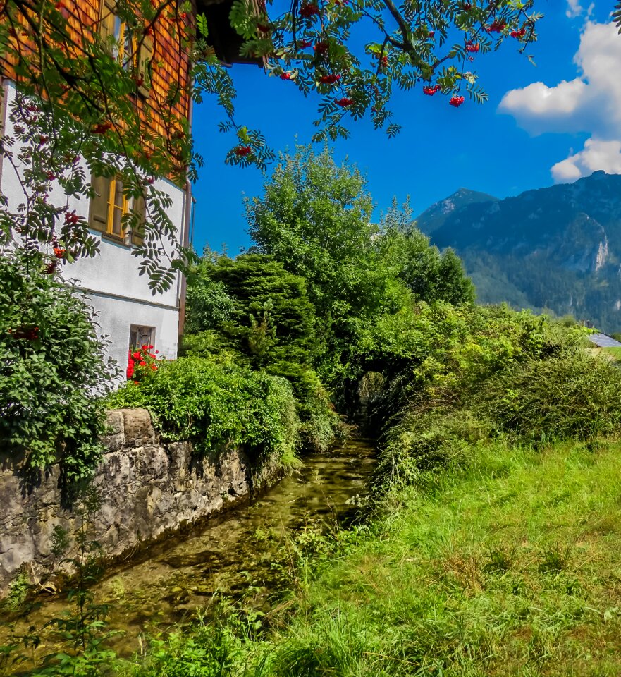 Peaceful summer landscape