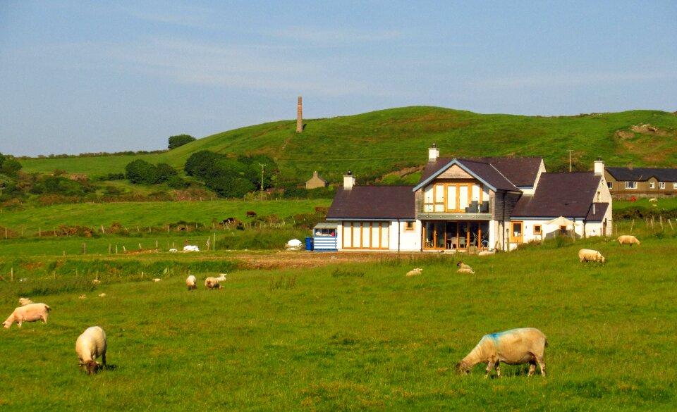 Nature countryside pasture
